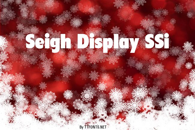 Seigh Display SSi example